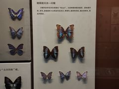 -天津自然博物馆