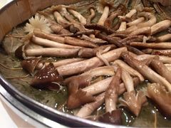 iphone_upload_pic-鲍国演义(禅城店)