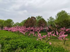 -河口景区