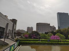 -河南自然博物馆