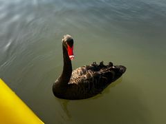 -昆山城市生态森林公园