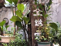 -时光花园(白鹭洲店)