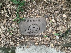 -惠山国家森林公园