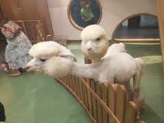 -藦茜花园宠物主题亲子互动体验馆(国顺东路店)
