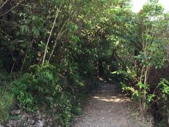 -怀托摩萤火虫洞