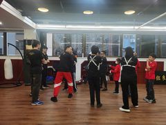 -温鉴良实用咏春拳