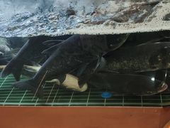 -小山寨(天润城店)