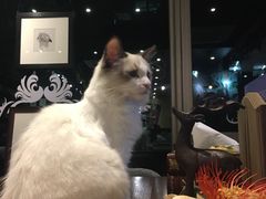 -咖法森林·咖啡  酒吧(天河店)