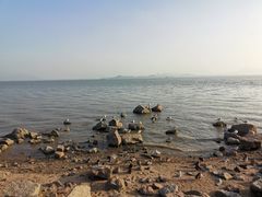 -深圳湾公园(南山区)