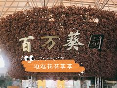 -百万葵园