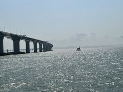 -招商蛇口邮轮母港(观光客运)