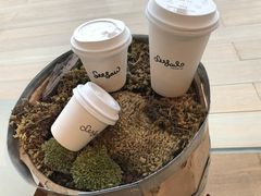 -Seesaw Coffee(朝阳大悦城店)