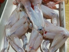 -铭记蛙小仙·活蛙畅享(CBD万达广场店)