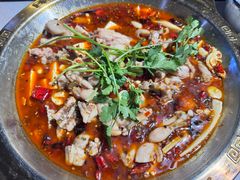 -重庆火锅水库鱼庄(南油店)
