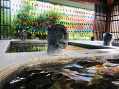 -中家鑫园温泉酒店鑫悦汤泉