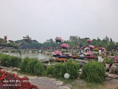 -荷兰花海