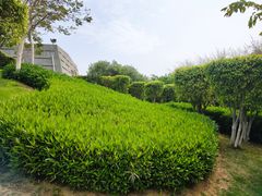-五通灯塔公园