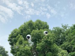 -杭州少年儿童公园