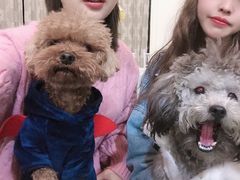 -小时光泳池别墅轰趴