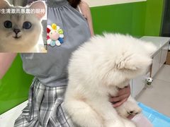-辛巴宠物医疗中心·骨科·内分泌专科·心肾专科(亭林公园店)