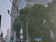 -上海市格致初级中学