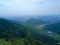 -惠山国家森林公园