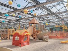 -南宫五洲植物乐园