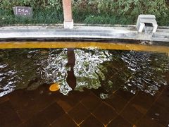 -航空小镇温泉