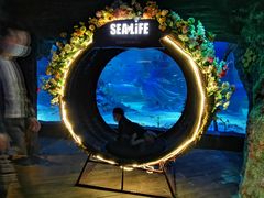 -沈阳海洋探索中心