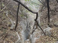 -佛慧山