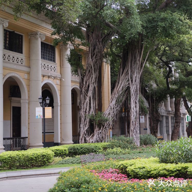 打卡广州最美星巴克