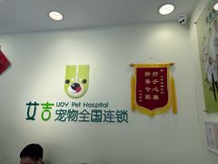 -艾吉宠物医院·疑难杂症转诊中心·猫友好(碧江路院)
