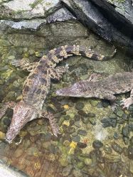 -Zoolung Zoolung动物主题公园(海信广场店)