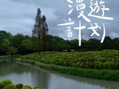 -花开海上生态园