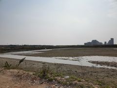 -碧海金沙
