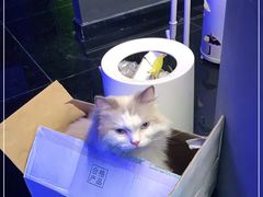 -暗楼·剧本杀·桌游