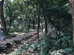 -广州市帽峰山景区