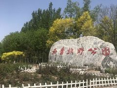 -西青郊野公园