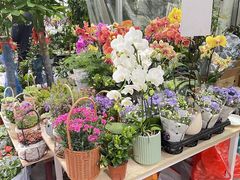 -循礼门鲜花花市(武汉循礼门店)