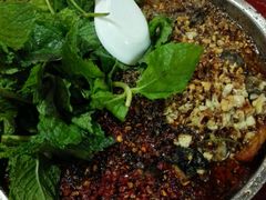 android_upload_pic-苍洱春饭店