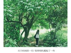 -铁山坪森林公园