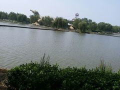 -白洋淀景区