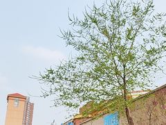 -北京欢乐谷