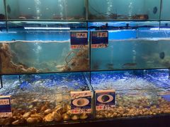 水产区-南海渔家•海鲜•正宗海南菜(海棠湾店)