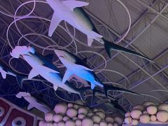 -烟台海昌鲸鲨海洋公园