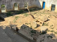 -武汉紫薇都市田园