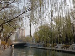 -南长河公园