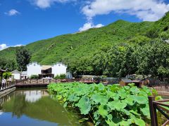 -荷塘味道(水长城店)