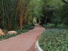 -晓港公园