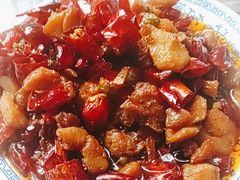 -食神又名厕所兔